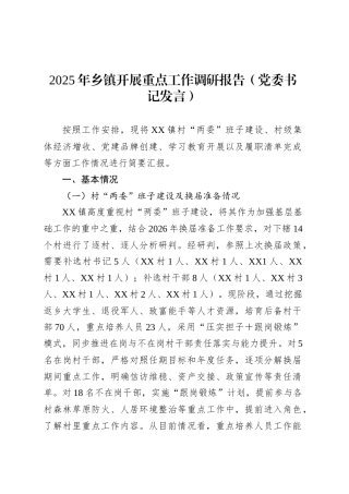 2025年乡镇街道开展重点工作调研报告（党委书记发言）.docx