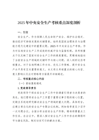 2025年中央安全生产考核重点深度剖析.docx
