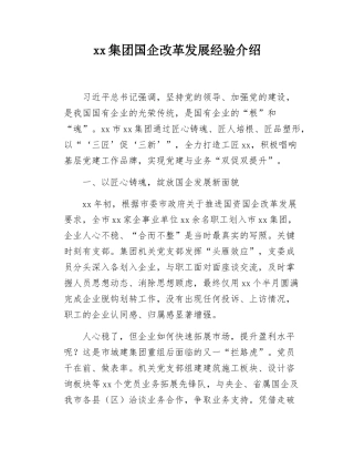 xx集团国企改革发展经验介绍.docx