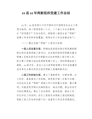 xx年两新组织党建工作总结.docx