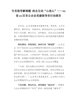 xx省xx区非公企业党建指导员行动报告.docx