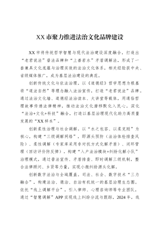 XX市法治文化品牌宣传稿.docx