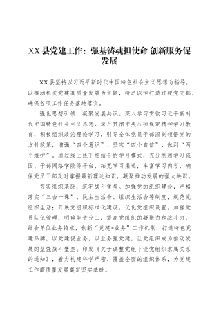 XX县党建工作：强基铸魂担使命 创新服务促发展.docx
