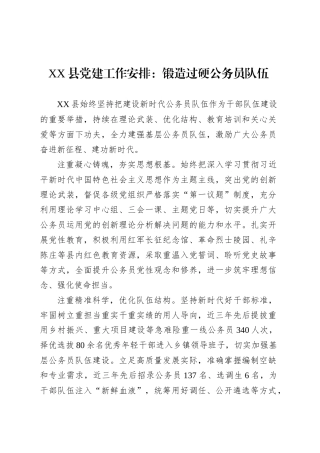 XX县党建工作安排.docx