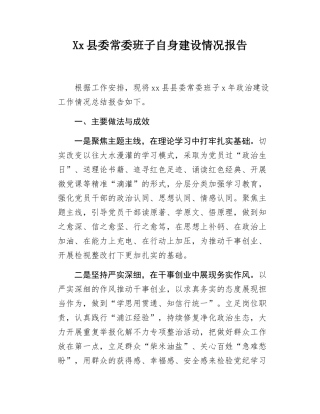 Xx县委常委班子自身建设情况报告.docx