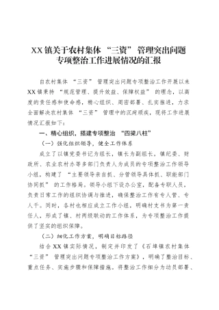 XX镇关于农村集体 “三资” 管理突出问题专项整治工作进展情况的汇报.docx