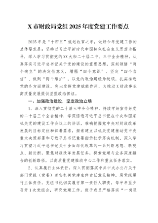 X市财政局党组2025年度党建工作要点.docx