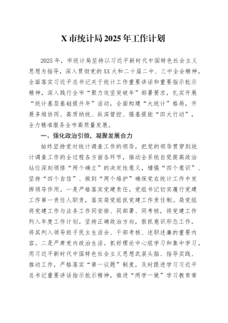 X市统计局2025年工作计划.docx