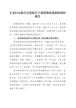 X县妇女联合会党组关于巡察整改进展情况的报告.docx