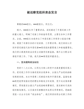 被巡察党组织表态发言.docx