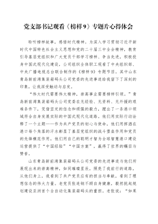 党支部书记观看《榜样9》专题片心得体会.docx