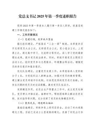 党总支书记2025年第一季度述职报告.docx