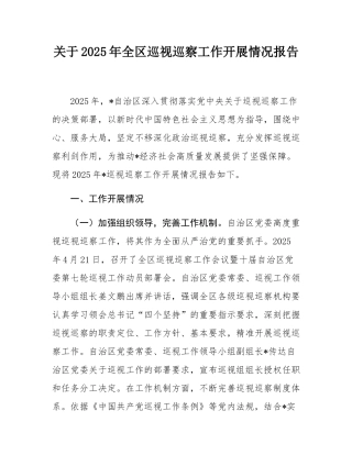 关于2025年全区巡视巡察工作开展情况报告.docx