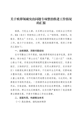 关于殡葬领域突出问题专项整治推进工作情况的汇报.docx