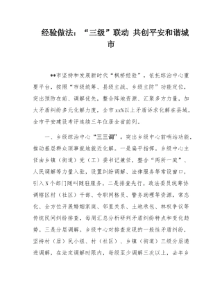 经验做法：“三级”联动 共创平安和谐城市.docx