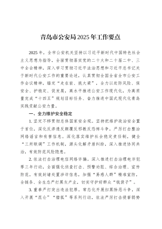 青岛市公安局2025年工作要点.docx