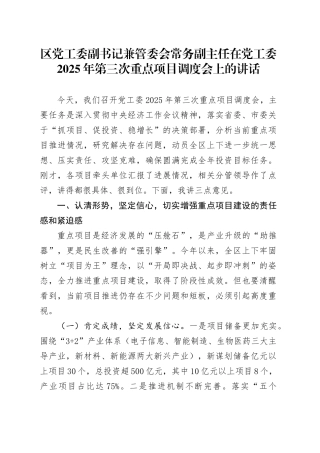 区党工委副书记兼管委会常务副主任在党工委2025年第三次重点项目调度会上的讲话.docx