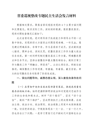 省委巡视整改专题民主生活会发言材料.docx