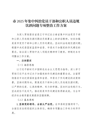 市2025年集中纠治党员干部和公职人员违规饮酒问题专项整治工作方案.docx