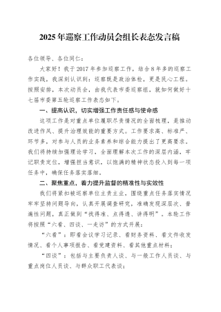 2025年巡察工作动员会组长表态发言稿.docx