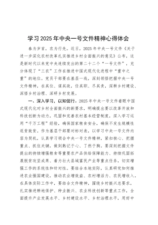 2025年一号文件精神心得体会研讨发言材料20250305.docx