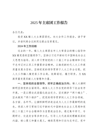 2025年主席团工作报告.docx