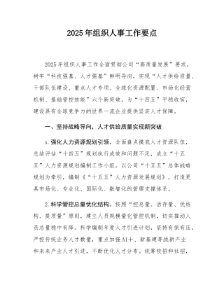 2025年组织人事工作要点.docx