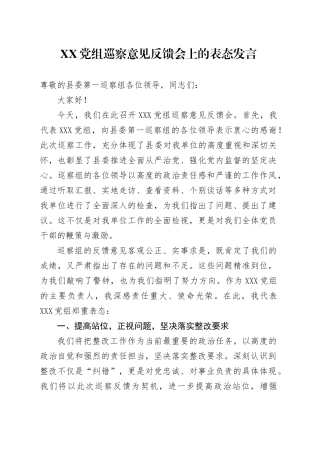 XX党组巡察意见反馈会上的表态发言.docx