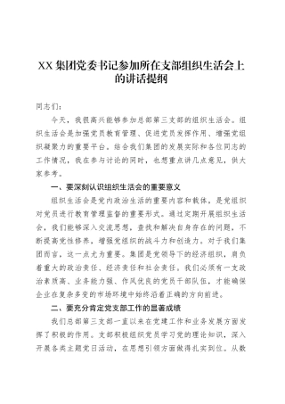 XX集团党委书记参加所在支部组织生活会上的讲话提纲.docx