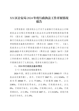 XX区公安局2024年度行政执法工作开展情况报告.docx