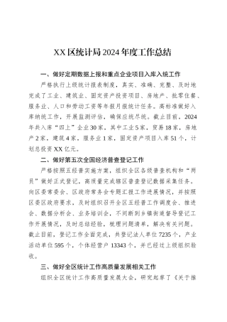 XX区统计局2024年度工作总结.docx