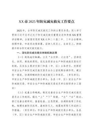 XX市2025年防灾减灾救灾工作要点.docx