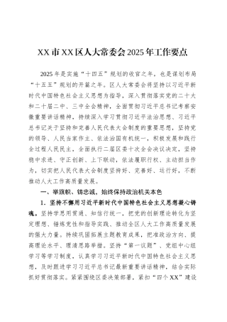 XX市XX区人大常委会2025年工作要点.docx