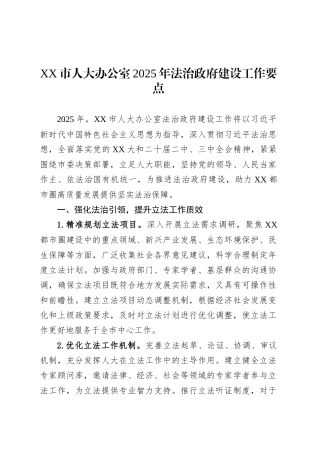 XX市人大办公室2025年法治政府建设工作要点.docx