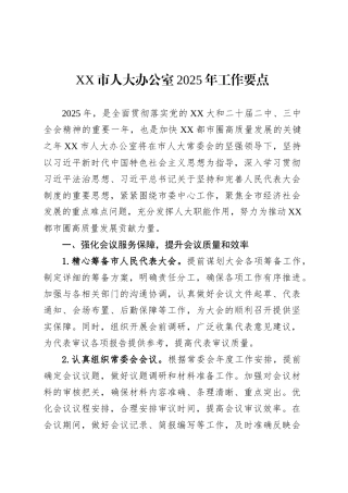 XX市人大办公室2025年工作要点.docx