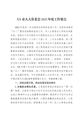 XX市人大常委会2025年度工作要点.docx