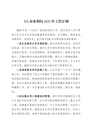 XX市水利局2025年工作计划.docx
