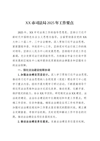 XX市司法局2025年工作要点.docx