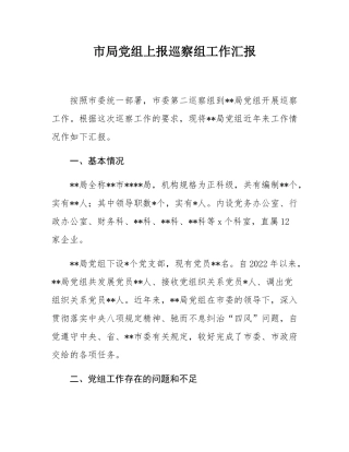 市局党组上报巡察组工作汇报.docx