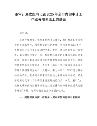 市审计局党组书记在2025年全市内部审计工作业务培训班上的讲话.docx