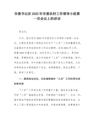 市委书记在2025年市委农村工作领导小组第一次会议上的讲话.docx