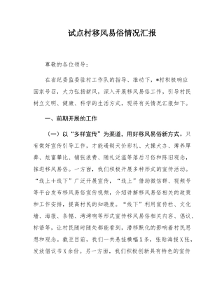 试点村移风易俗情况汇报.docx