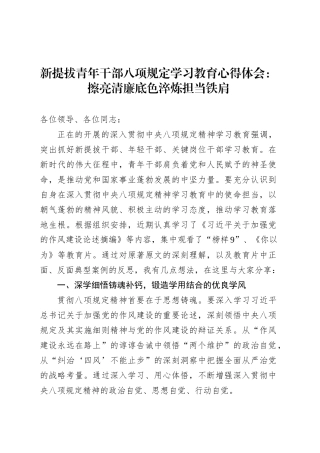 新提拔青年干部深入贯彻中央八项规定精神学习教育心得体会：擦亮清廉底色淬炼担当铁肩.docx