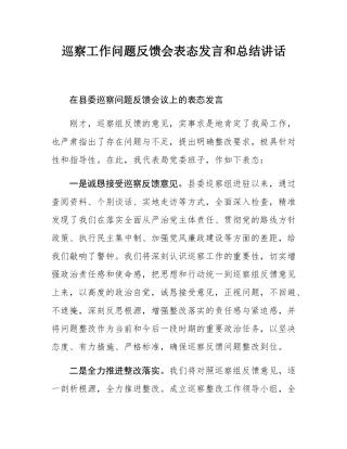 巡察工作问题反馈会表态发言和总结讲话.docx