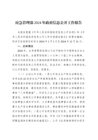 应急管理部2024年政府信息公开工作报告.docx