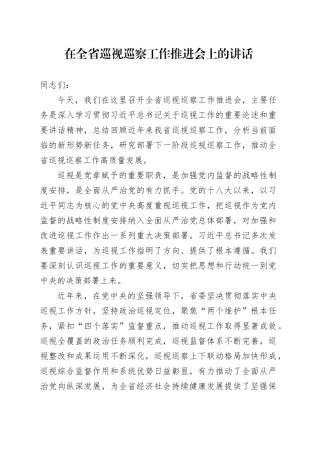 在全省巡视巡察工作推进会上的讲话.docx