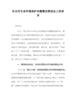 在全市生态环境保护问题整改推进会上的讲话.docx