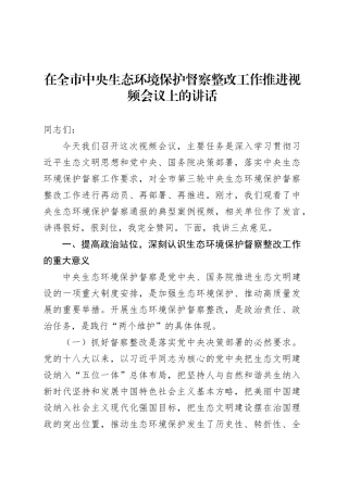 在全市中央生态环境保护督察整改工作推进视频会议上的讲话.docx