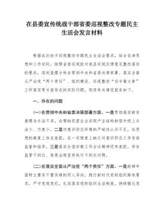 在县委宣传统战干部省委巡视整改专题民主SH会发言材料.docx