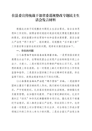 在县委宣传统战干部省委巡视整改专题民主生活会发言材料.docx